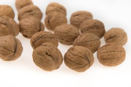 Walnuts in shell